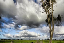 最新预测比分阿森纳决赛（阿森纳最大比分）