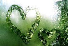 超级杯C罗最新（c罗超级杯红牌）