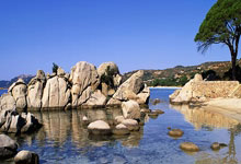 姆巴佩巴黎圣日耳曼（姆巴佩巴黎圣日耳曼号码）